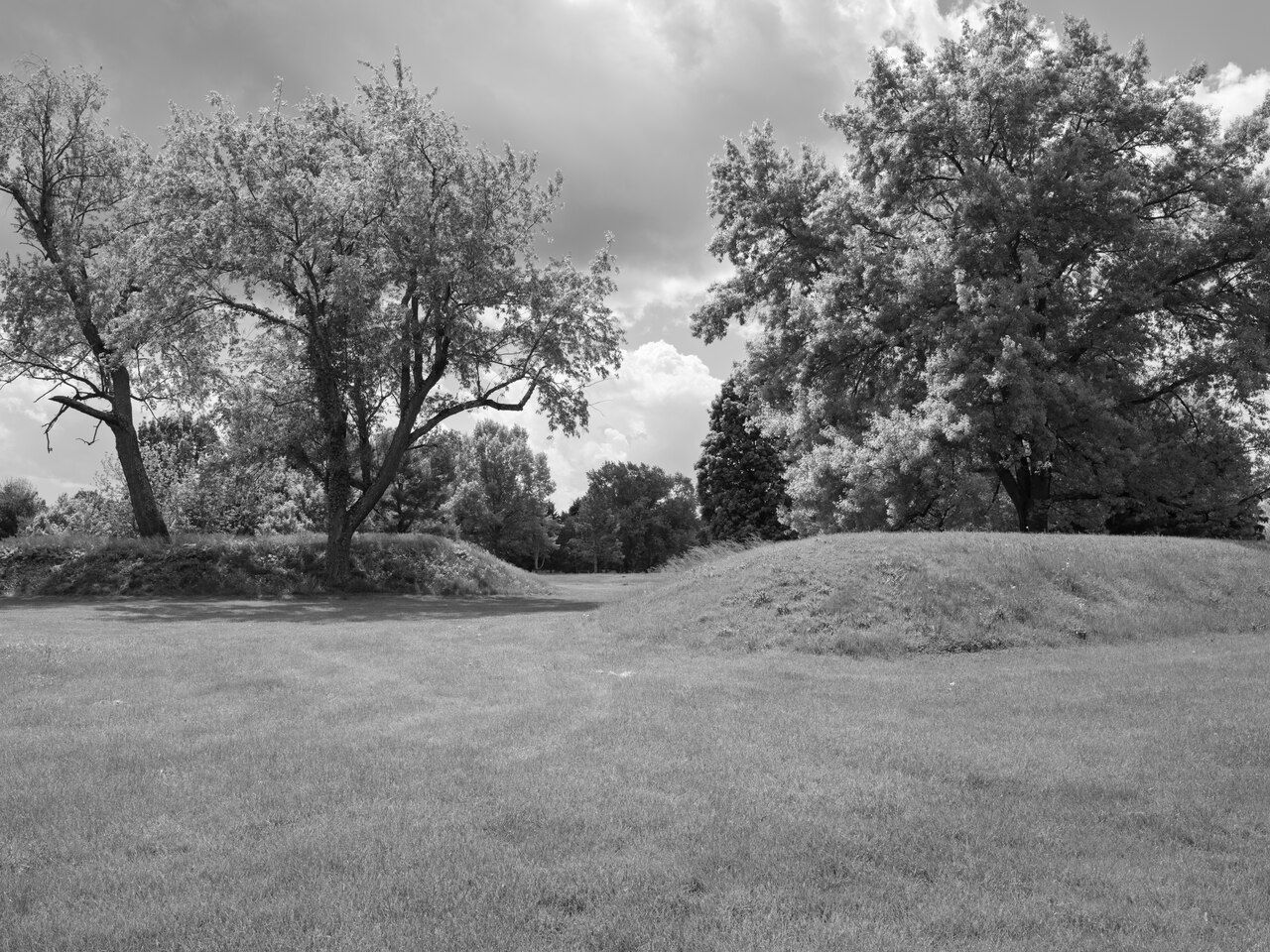 Two earthen mounds of the Octagon Earthworks under tall trees and a cloudy sky in May 2026, in black and white, the grass grown long on the walls. / Dos montículos de tierra del Octágono bajo árboles altos y un cielo nublado en mayo de 2026, en blanco y negro, con la hierba crecida sobre los muros.