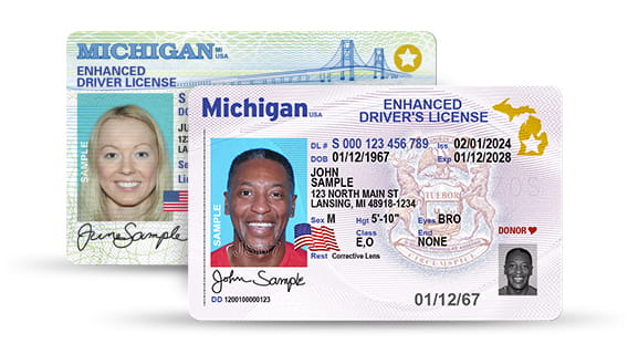 Two specimen Michigan enhanced driver’s licenses issued to “John Sample,” the front of one and the back of the other, each stamped SAMPLE across the photograph / Dos licencias de conducir mejoradas de Michigan de muestra a nombre de «John Sample», el frente de una y el reverso de la otra, cada una con la palabra SAMPLE sobre la fotografía